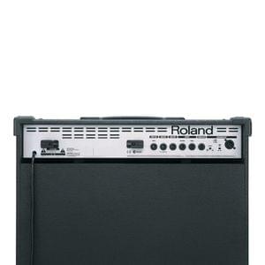 1572432226903-Roland D BASS 210 Bass Amplifier(3).jpg
